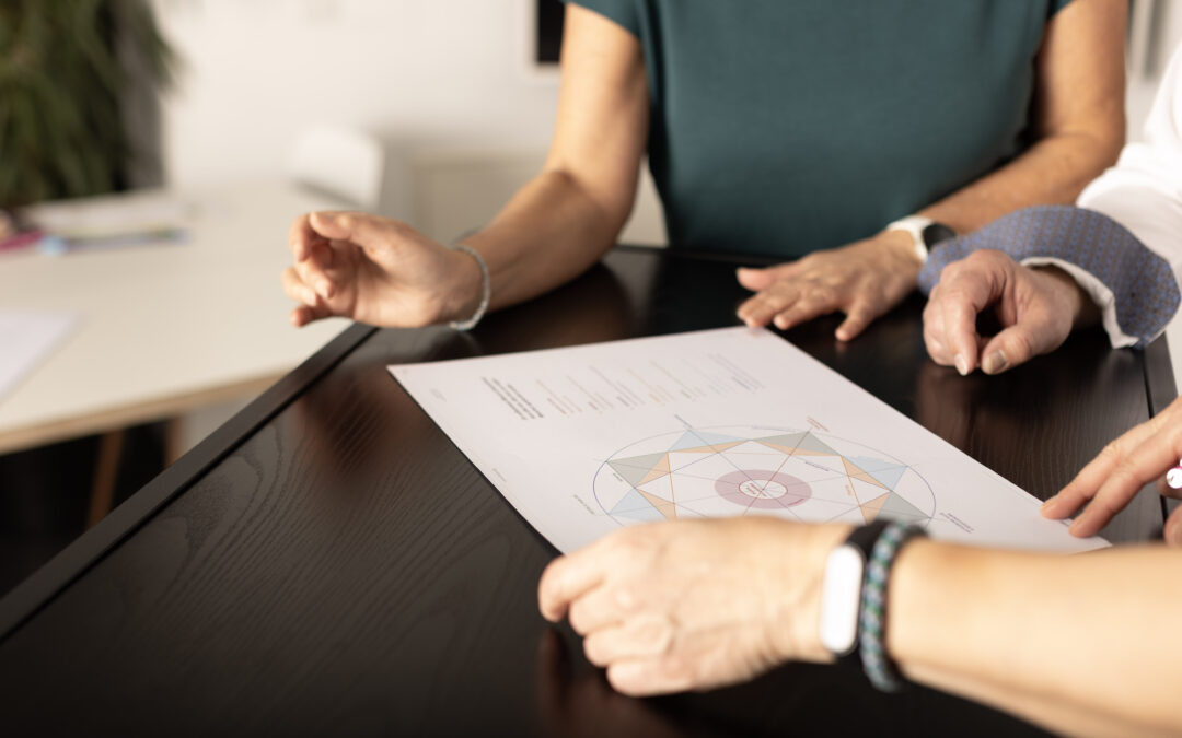 Systemwise® Consultant – die Komplettausbildung 2026