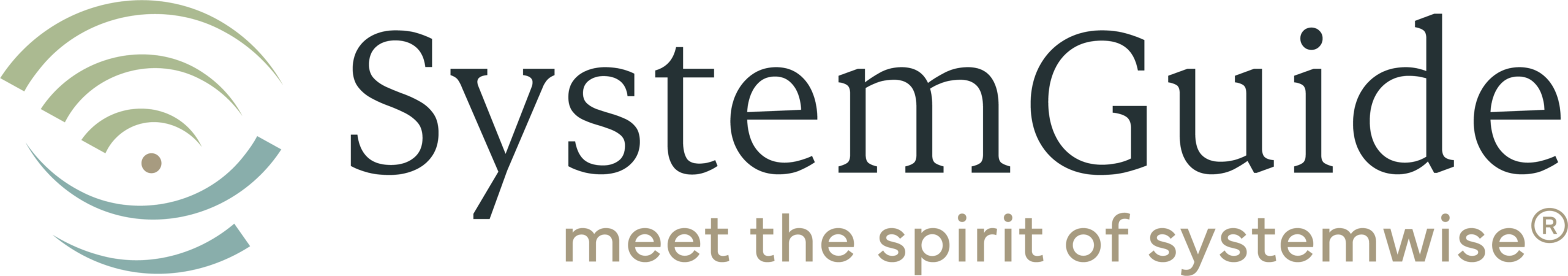systemguide-logo ohne Hintergrund