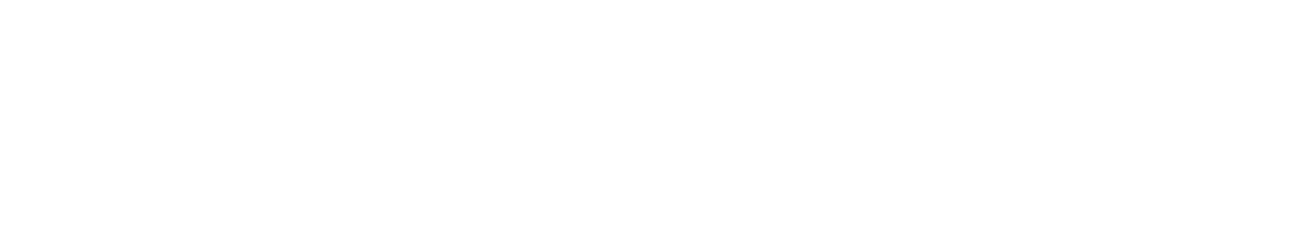 Systemguide-Komplettlogo-weiss-RGB